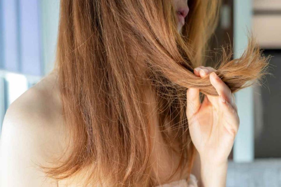 Damaged Hair