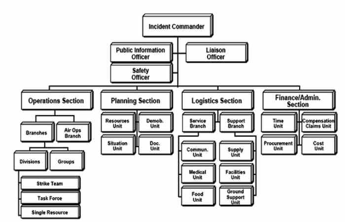 Who is Responsible For The Modular Organization Of The ICS