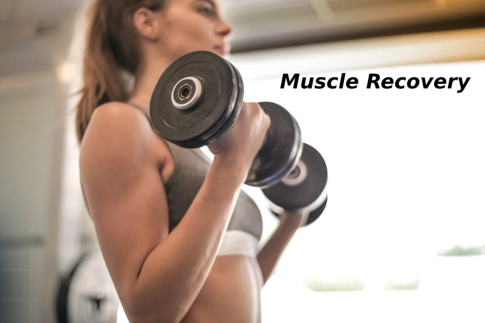 Muscle Recovery