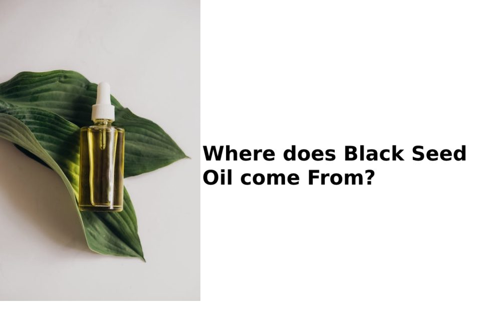 Where does Black Seed Oil come From?