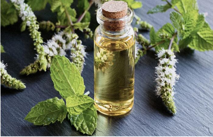 Peppermint Oil